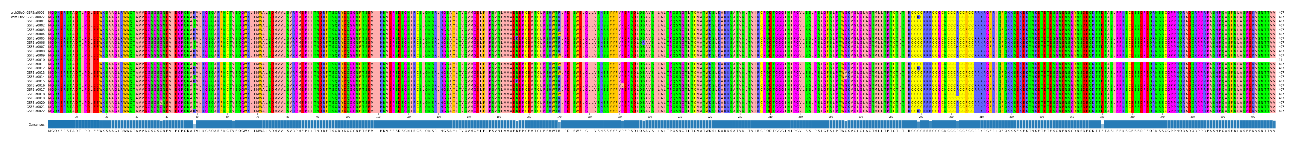 Multiple Alignments (by translate haplotype frequency)