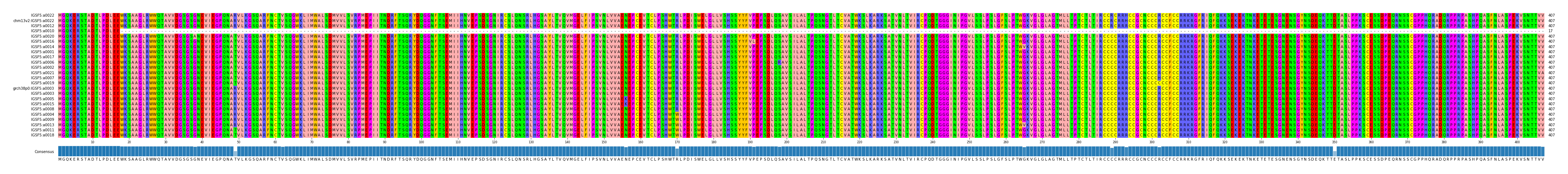 Multiple Alignments (by translate haplotype similarity)