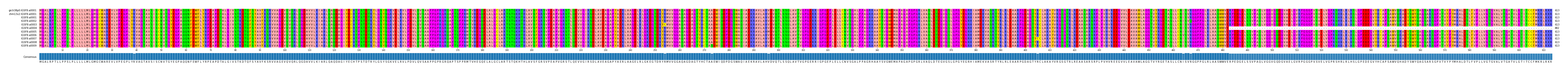 Multiple Alignments (by translate haplotype frequency)