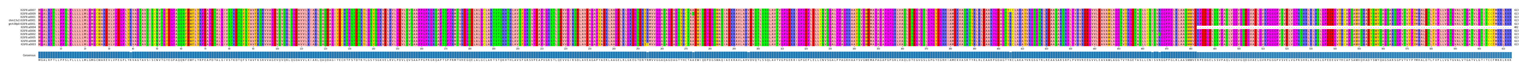 Multiple Alignments (by translate haplotype similarity)