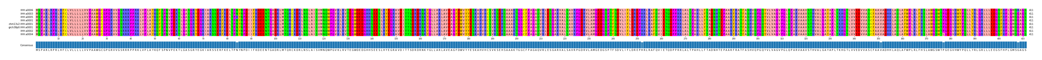 Multiple Alignments (by translate haplotype similarity)