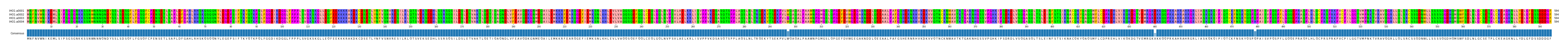 Multiple Alignments (by translate haplotype frequency)