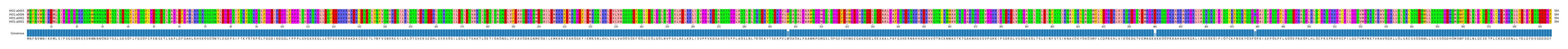 Multiple Alignments (by translate haplotype similarity)