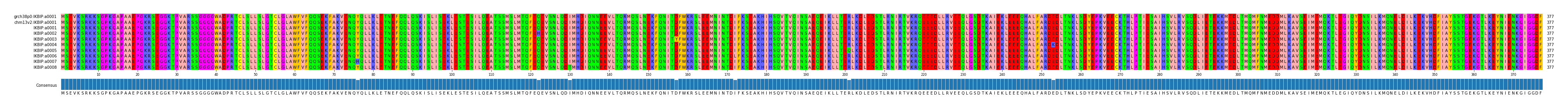 Multiple Alignments (by translate haplotype frequency)