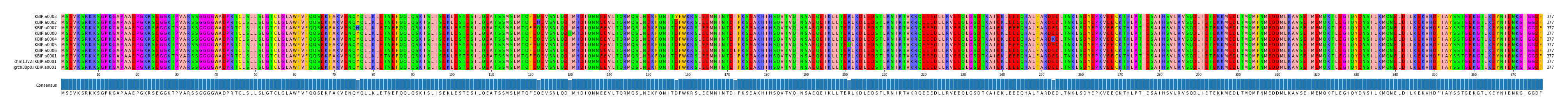 Multiple Alignments (by translate haplotype similarity)