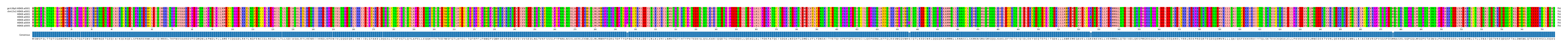 Multiple Alignments (by translate haplotype frequency)