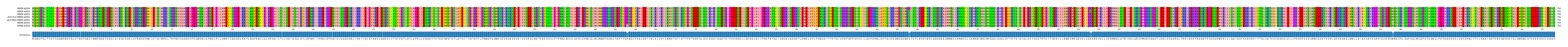 Multiple Alignments (by translate haplotype similarity)