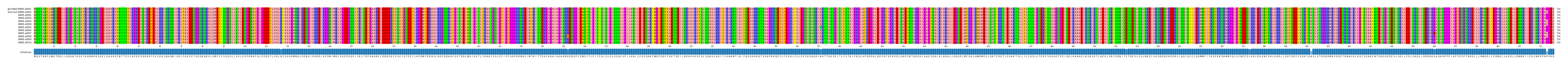 Multiple Alignments (by translate haplotype frequency)