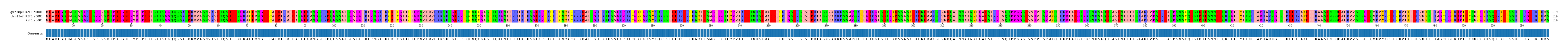 Multiple Alignments (by translate haplotype similarity)