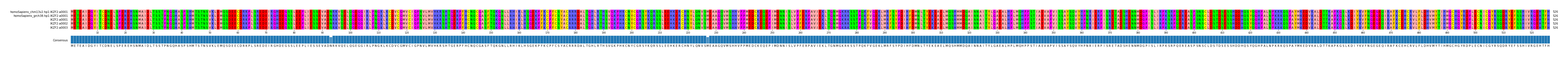 Multiple Alignments (by translate haplotype frequency)
