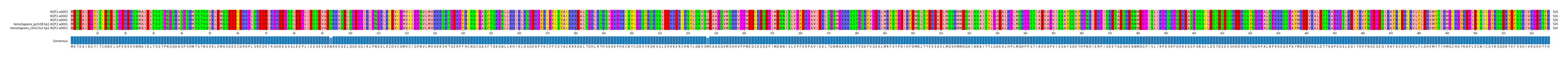Multiple Alignments (by translate haplotype similarity)