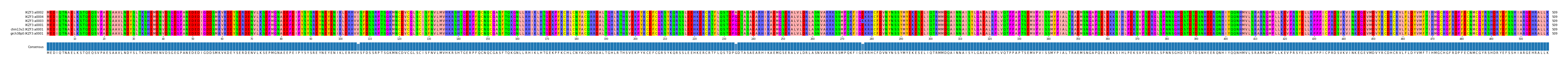 Multiple Alignments (by translate haplotype similarity)