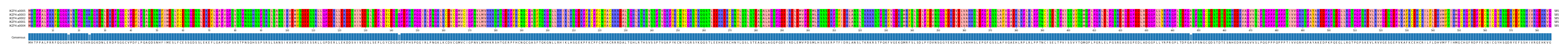 Multiple Alignments (by translate haplotype similarity)