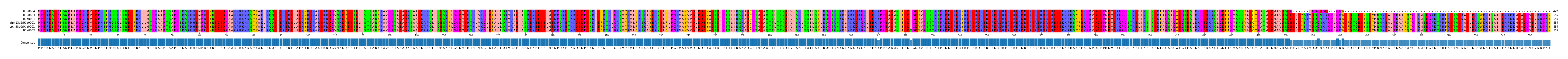 Multiple Alignments (by translate haplotype similarity)