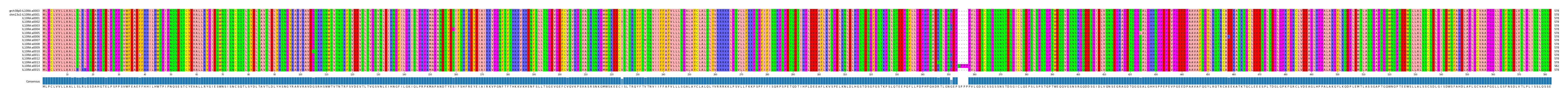 Multiple Alignments (by translate haplotype frequency)