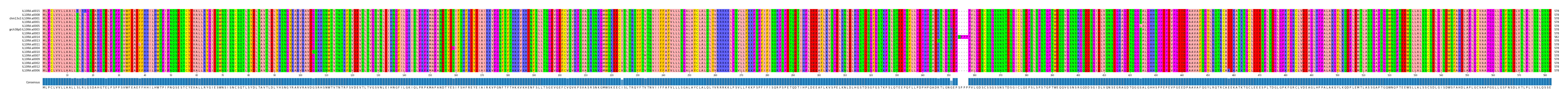 Multiple Alignments (by translate haplotype similarity)
