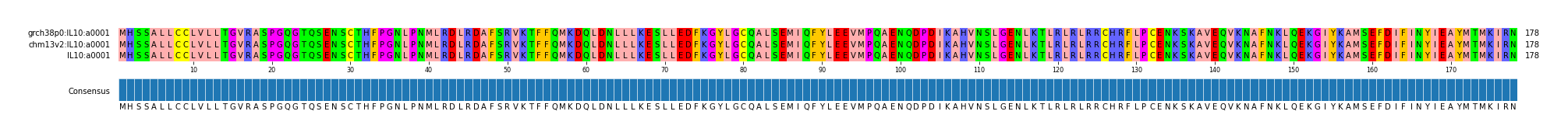 Multiple Alignments (by translate haplotype similarity)
