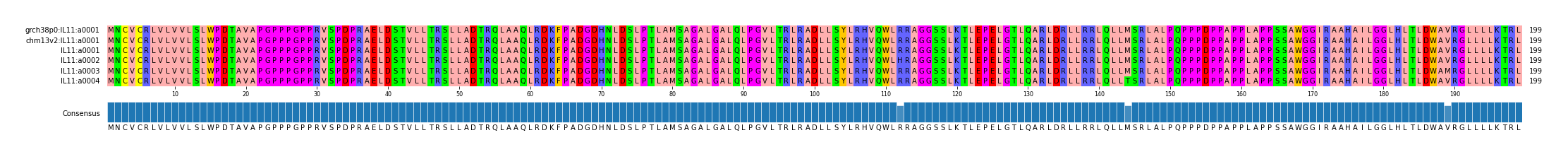 Multiple Alignments (by translate haplotype frequency)