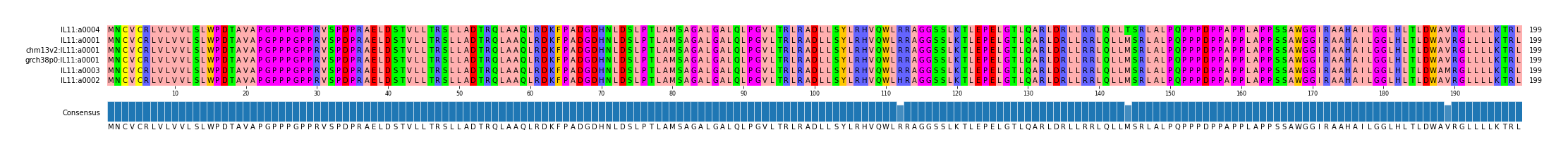 Multiple Alignments (by translate haplotype similarity)