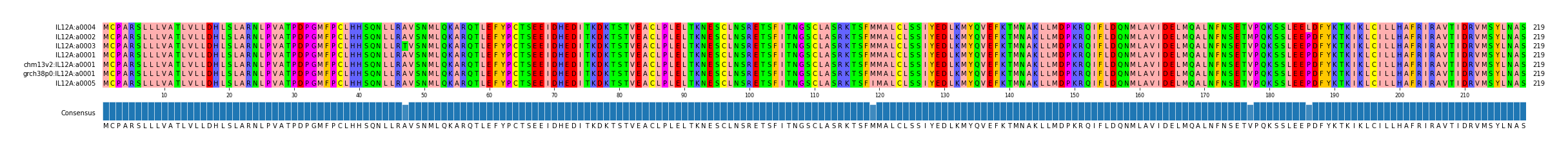 Multiple Alignments (by translate haplotype similarity)