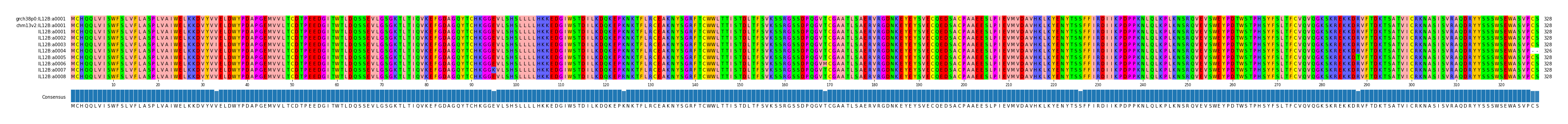 Multiple Alignments (by translate haplotype frequency)