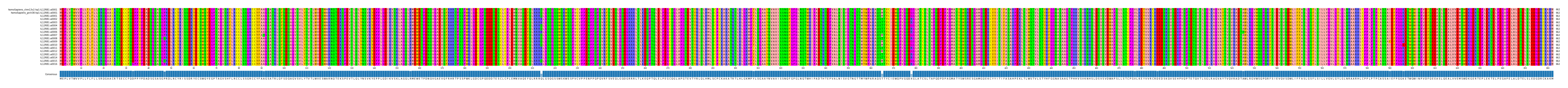 Multiple Alignments (by translate haplotype frequency)