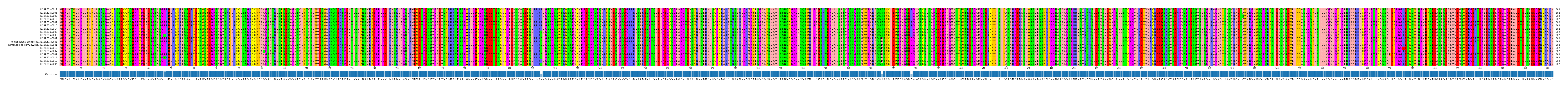 Multiple Alignments (by translate haplotype similarity)