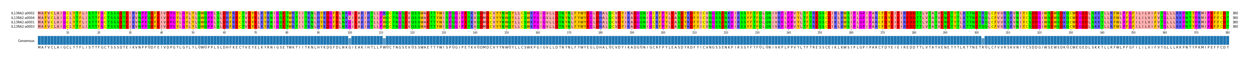 Multiple Alignments (by translate haplotype similarity)