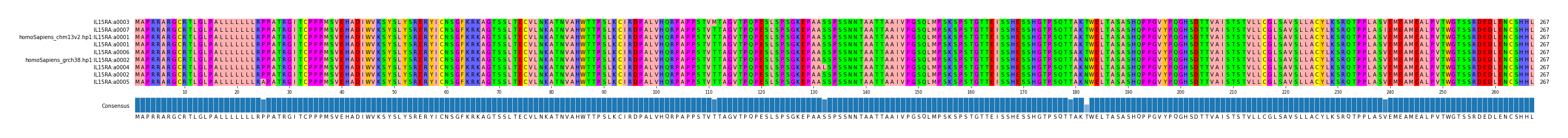 Multiple Alignments (by translate haplotype similarity)