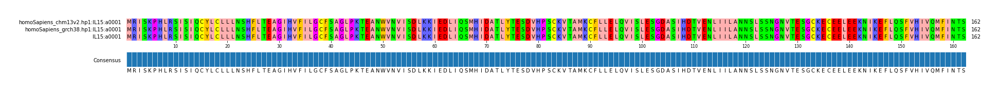 Multiple Alignments (by translate haplotype similarity)