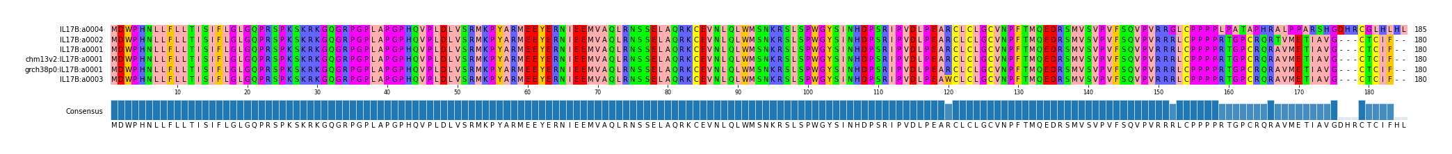 Multiple Alignments (by translate haplotype similarity)