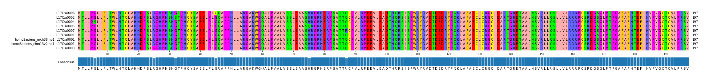 Multiple Alignments (by translate haplotype similarity)