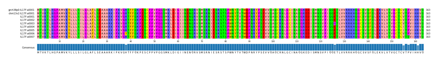 Multiple Alignments (by translate haplotype frequency)