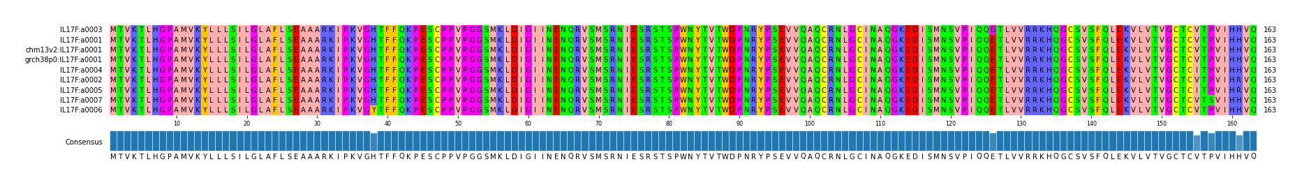 Multiple Alignments (by translate haplotype similarity)