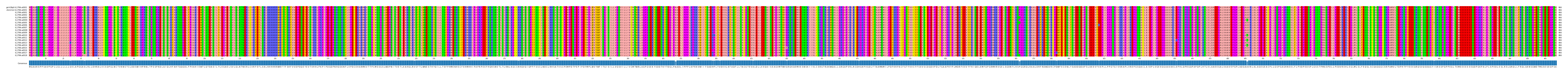 Multiple Alignments (by translate haplotype frequency)