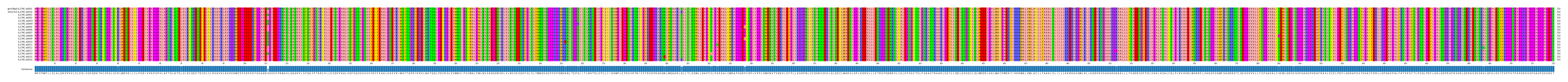 Multiple Alignments (by translate haplotype frequency)