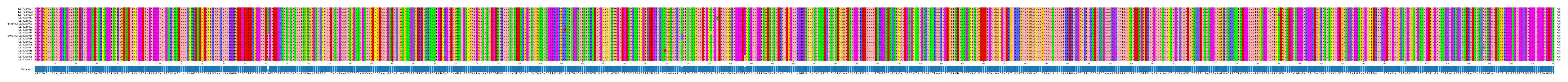 Multiple Alignments (by translate haplotype similarity)