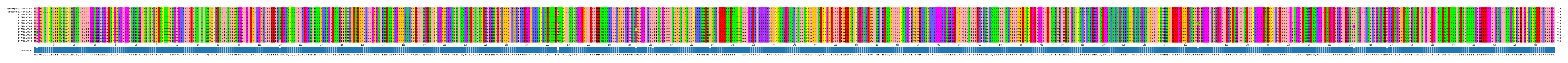 Multiple Alignments (by translate haplotype frequency)