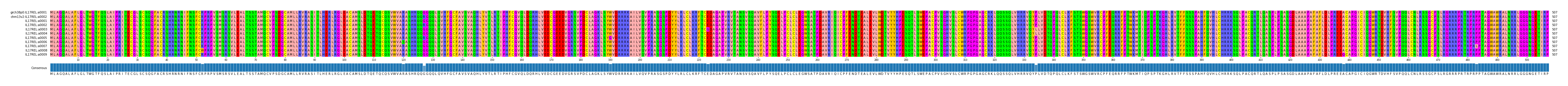 Multiple Alignments (by translate haplotype frequency)