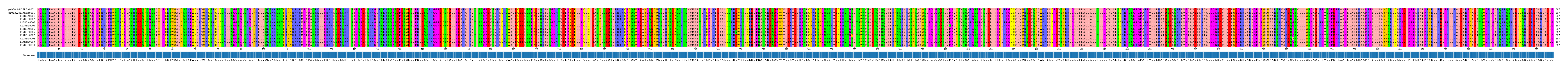Multiple Alignments (by translate haplotype frequency)