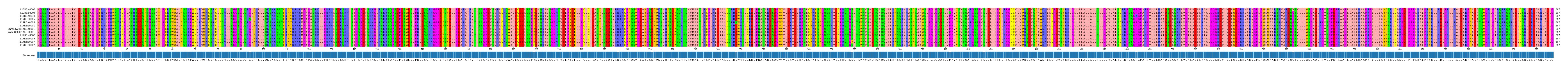 Multiple Alignments (by translate haplotype similarity)
