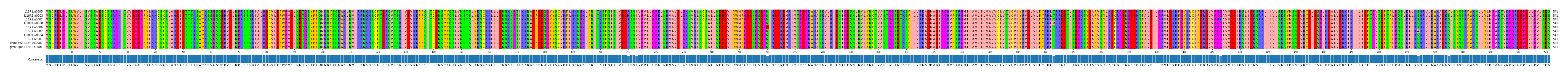 Multiple Alignments (by translate haplotype similarity)
