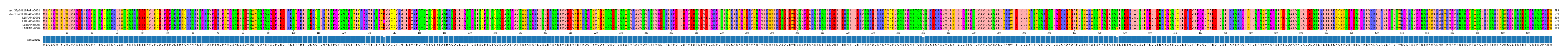 Multiple Alignments (by translate haplotype frequency)