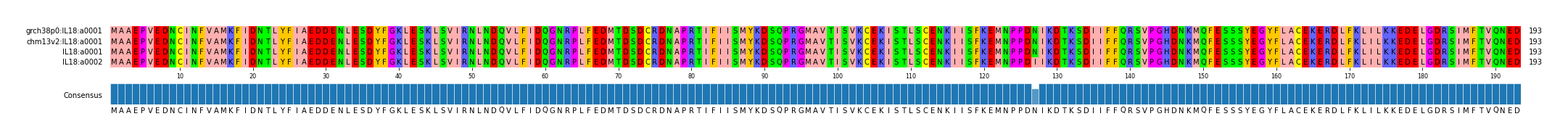 Multiple Alignments (by translate haplotype similarity)
