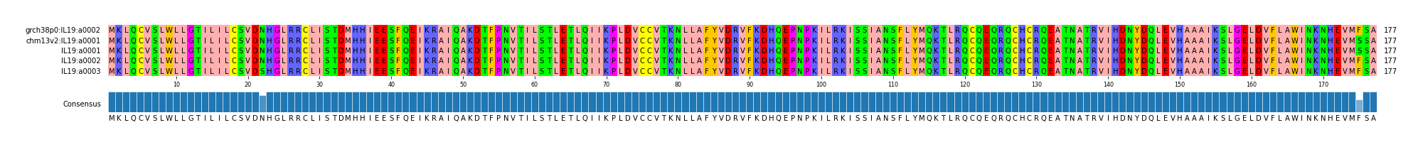 Multiple Alignments (by translate haplotype frequency)