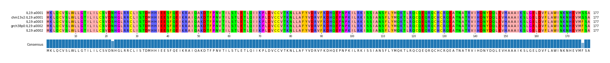 Multiple Alignments (by translate haplotype similarity)