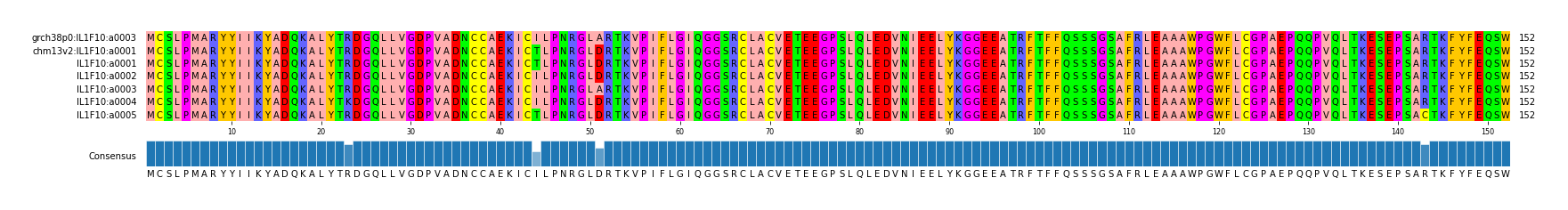 Multiple Alignments (by translate haplotype frequency)