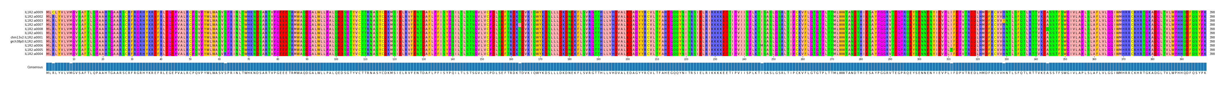 Multiple Alignments (by translate haplotype similarity)