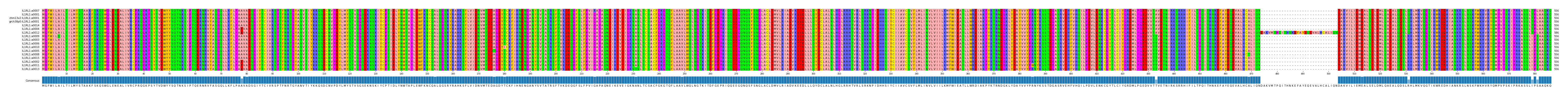 Multiple Alignments (by translate haplotype similarity)