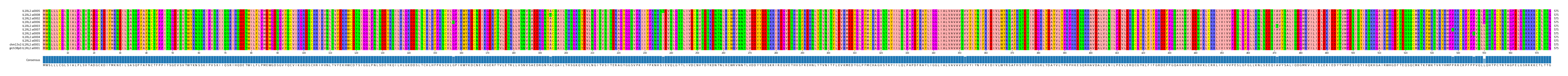 Multiple Alignments (by translate haplotype similarity)